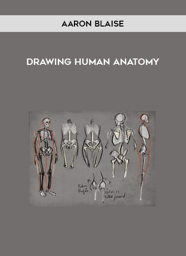 Aaron Blaise - Drawing Human Anatomy