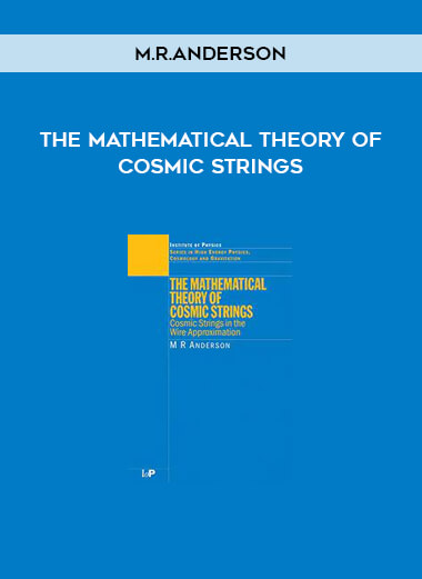 The Mathematical Theory of Cosmic Strings by M.R.Anderson