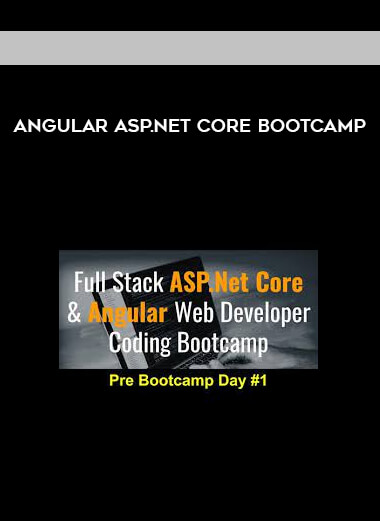 Angular ASP.NET Core Bootcamp