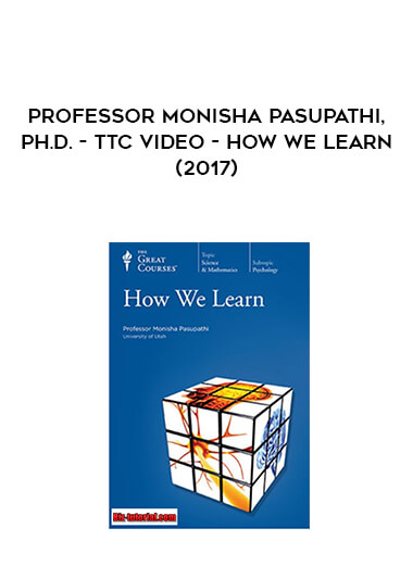 Professor Monisha Pasupathi Ph.D. - TTC Video - How We Learn (2017)