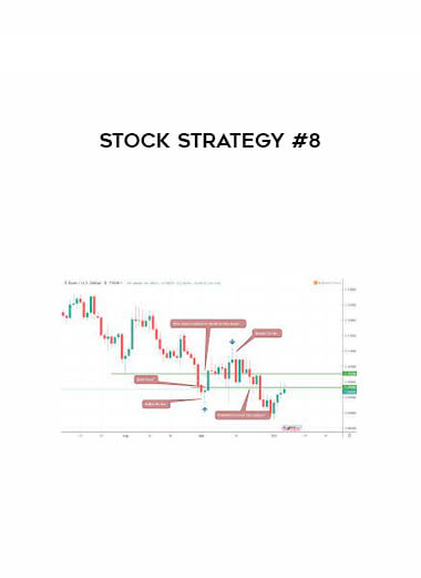 Stock Strategy #8