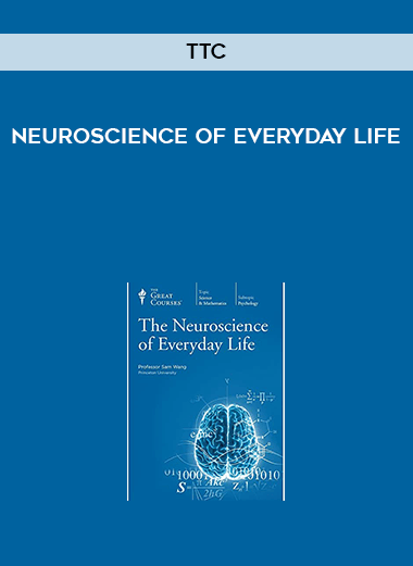 TTC - Neuroscience of Everyday Life