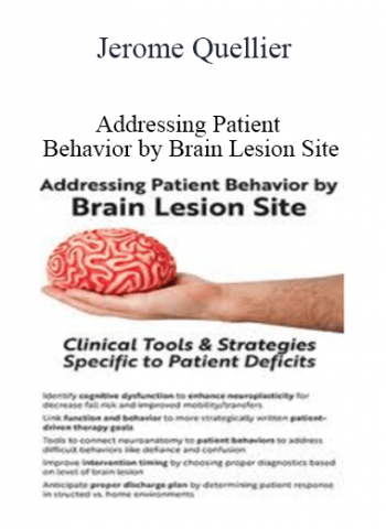 Addressing Patient Behavior by Brain Lesion Site from Jerome Quellier