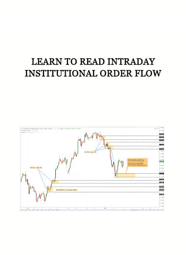 Learn To Read Intraday Institutional Order Flow