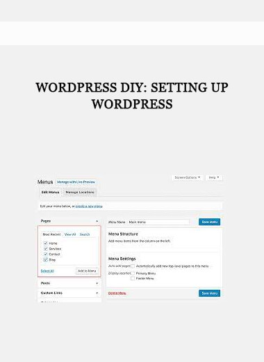 WordPress DIY: Setting Up WordPress