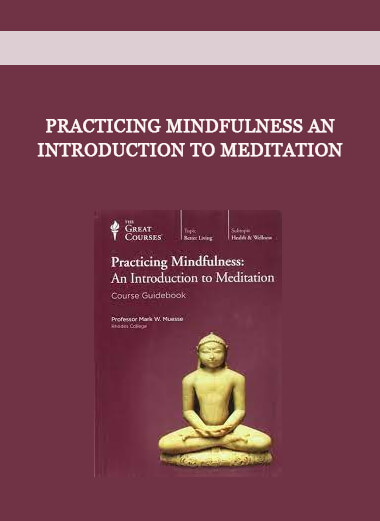 Practicing Mindfulness An Introduction to Meditation