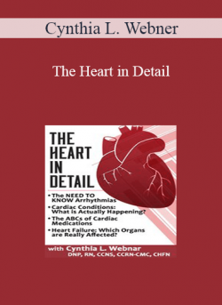 The Heart in Detail from Cynthia L. Webner