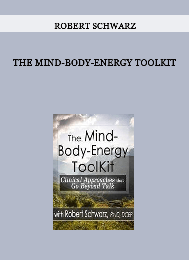 The Mind-Body-Energy ToolKit by Robert Schwarz