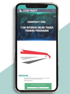 7 DAY INTENSIVE ONLINE TRADER TRAINING PROGRAMME of https://crabaca.store/