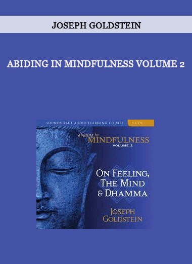 ABIDING IN MINDFULNESS VOLUME 2 by Joseph Goldstein of https://crabaca.store/