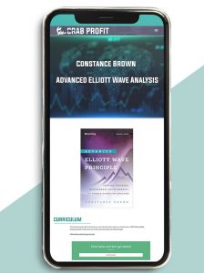 Advanced Elliott Wave Analysis by Constance Brown of https://crabaca.store/