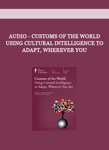 Audio - Customs of the World - Using Cultural Intelligence to Adapt