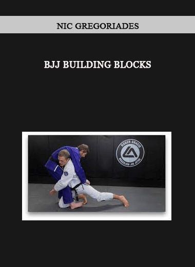 BJJ Building Blocks by Nic Gregoriades of https://crabaca.store/