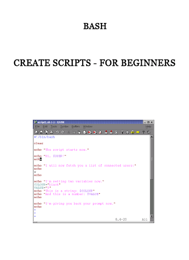 Bash - Create Scripts - for Beginners of https://crabaca.store/