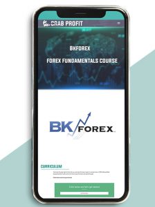 Bkforex - forex fundamentals course of https://crabaca.store/