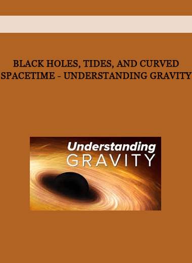 Black Holes