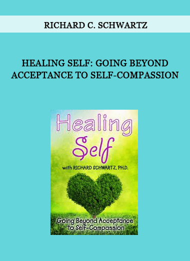 Healing Self: Going Beyond Acceptance to Self-Compassion by Richard C. Schwartz of https://crabaca.store/