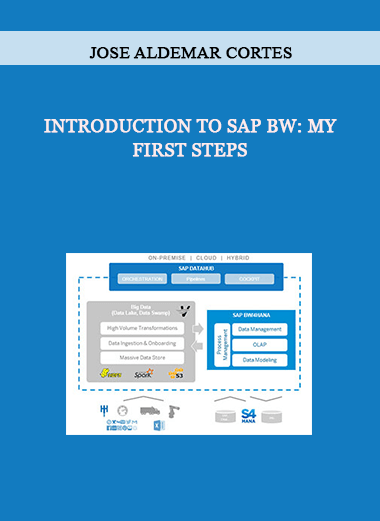 Introduction to SAP BW: My first steps by Jose Aldemar Cortes of https://crabaca.store/