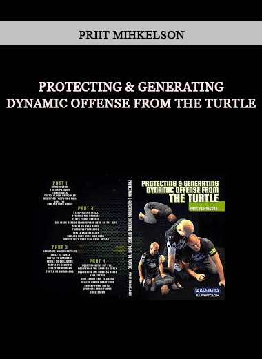 Priit Mihkelson - Protecting & Generating Dynamic Offense From The Turtle of https://crabaca.store/