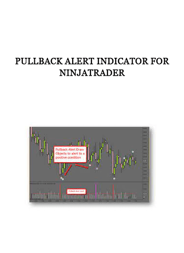 PullBack Alert Indicator for NinjaTrader of https://crabaca.store/