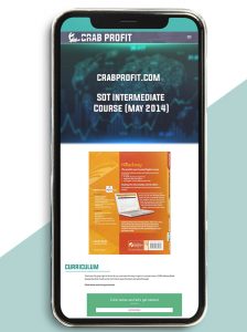SOT Intermediate Course (May 2014) of https://crabaca.store/