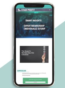 Smart Insights - Expert Membership (Individuals) Siterip of https://crabaca.store/