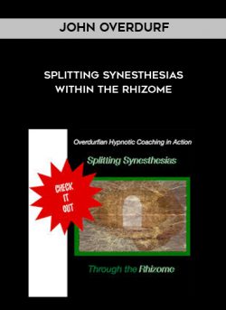 Splitting Synesthesias within the Rhizome by John Overdurf of https://crabaca.store/