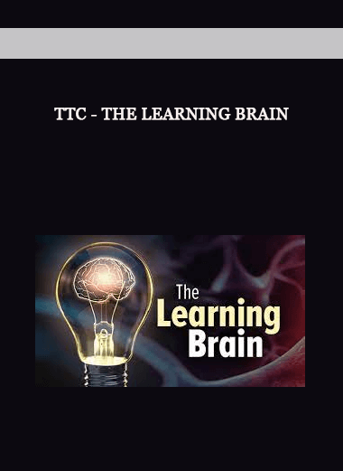 TTC - The Learning Brain of https://crabaca.store/