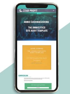 The Annielytics Site Audit Template by Annie Cushing of https://crabaca.store/
