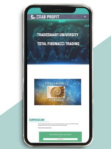 Total Fibonacci Trading by TradeSmart University of https://crabaca.store/