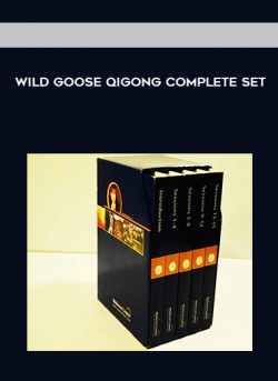 Wild Goose Qigong Complete Set of https://crabaca.store/