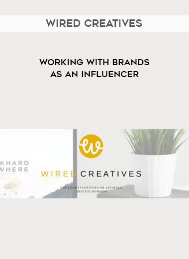Wired Creatives - Working With Brands as an Influencer of https://crabaca.store/