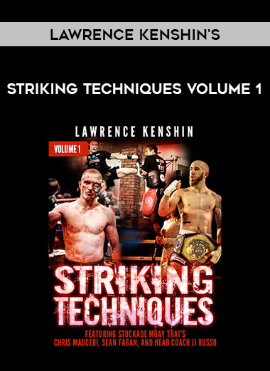Lawrence Kenshin's Striking Techniques Volume 1 of https://crabaca.store/
