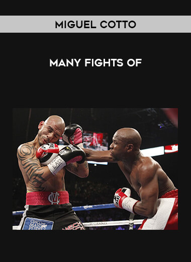 Many Fights of Miguel Cotto of https://crabaca.store/