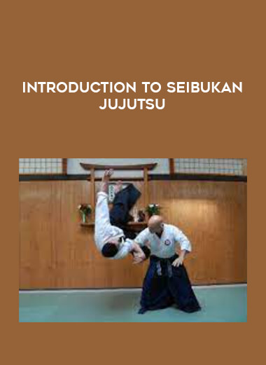 Introduction to Seibukan Jujutsu of https://crabaca.store/