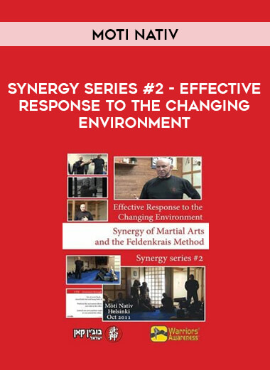 Moti Nativ - Synergy Series #2 - Effective Response to the Changing Environment of https://crabaca.store/