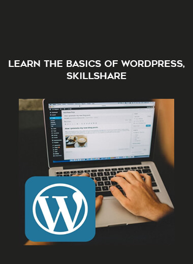 Learn The Basics of WordPress