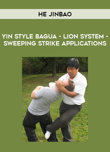 Yin Style Bagua - He Jinbao - Lion System - Sweeping Strike Applications of https://crabaca.store/