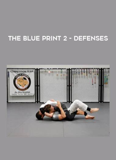 The Blue Print 2 - Defenses of https://crabaca.store/