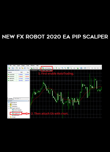 New Fx Robot 2020 EA Pip Scalper of https://crabaca.store/