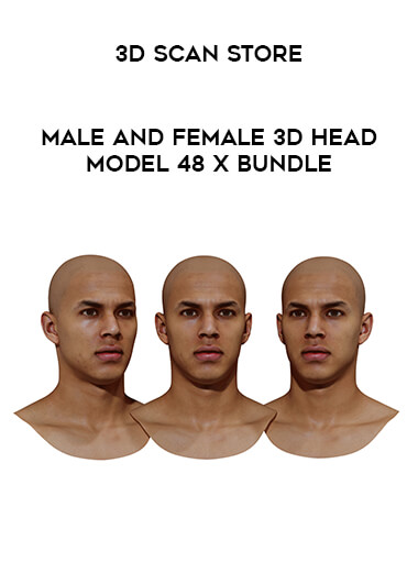 Male and Female 3D Head Model 48 x Bundle - 3D Scan Store of https://crabaca.store/