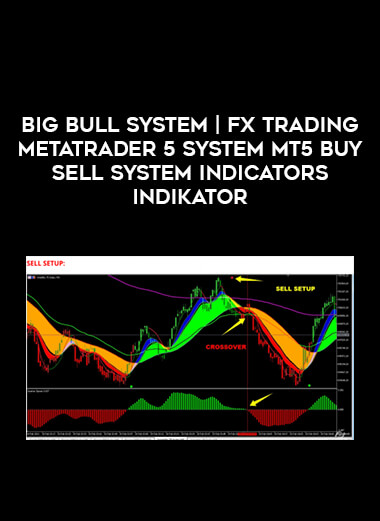 BIG BULL SYSTEM | Fx Trading MetaTrader 5 System MT5 Buy Sell System Indicators INDIKATOR of https://crabaca.store/