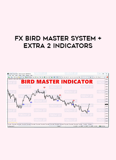 Fx BIRD MASTER SYSTEM + extra 2 indicators of https://crabaca.store/