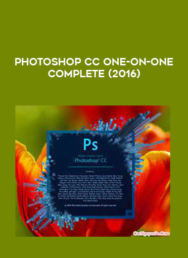 Photoshop CC One-on-One Complete (2016) of https://crabaca.store/